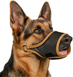 Side profile of large dog wearing brown mesh muzzle
