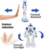 Sikaye programmable robot with infrared controller