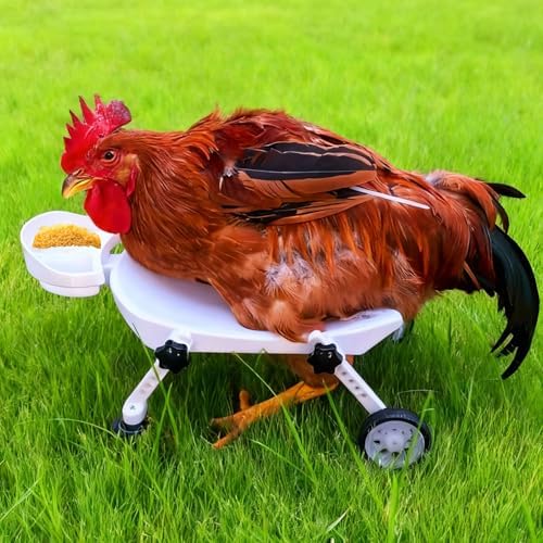 Close up of the adjustable modular joints and skin friendly straps on the ANIMOASIS small scale chicken cart.