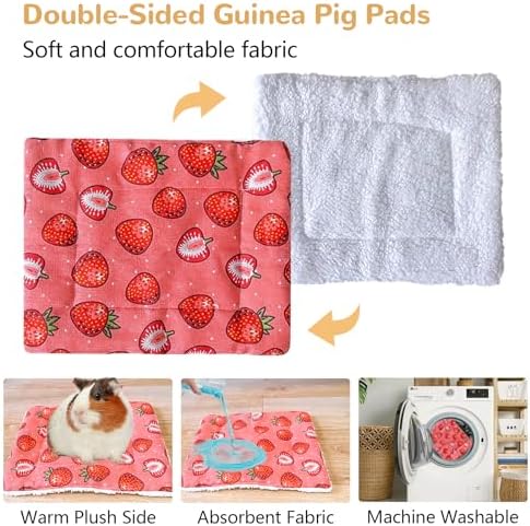 Acsist guinea pig house with dimensions illustrating the spacious layout for multiple small pets.