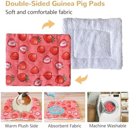 Acsist guinea pig house with dimensions illustrating the spacious layout for multiple small pets.