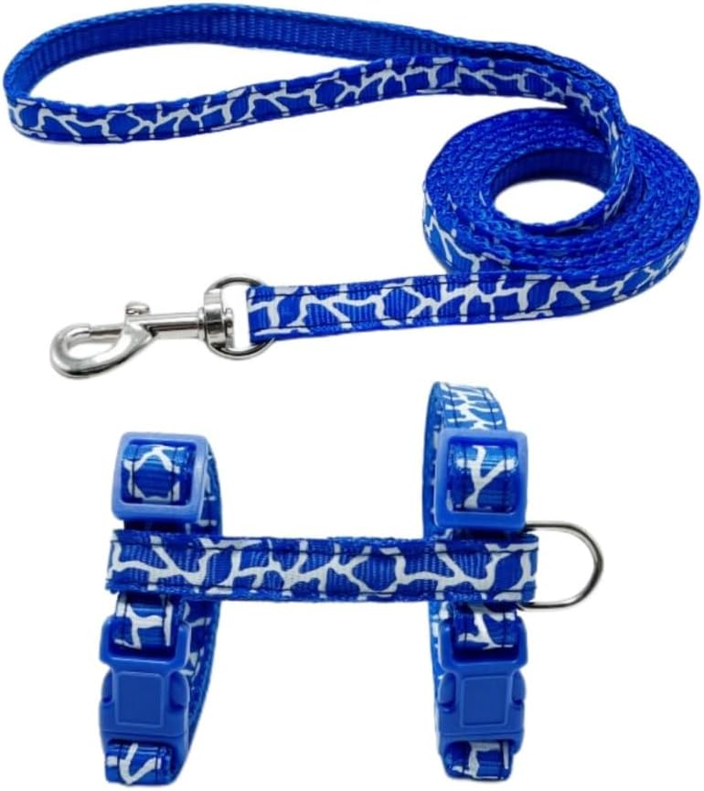 Complete pet walking set including harness and matching lead