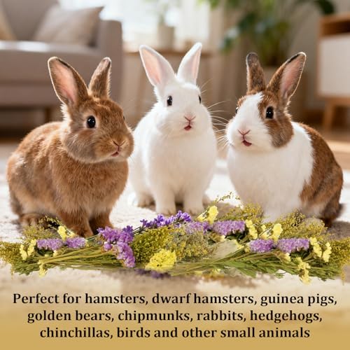Sukh 42Pcs Herb Bedding Habitat Decor - Natural Flower Hamster Mate Herbs Sprays Cage Safe Pet Accessories Decorations Hideout for Hamsters Mouse Guinea Pig Dwarf Gerbils Syrian Mice - Image 7