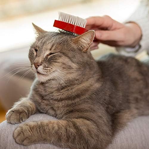 Back label showing directions and ingredients for cats