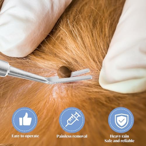 Durable metal storage box for Aozuo tick removal instruments