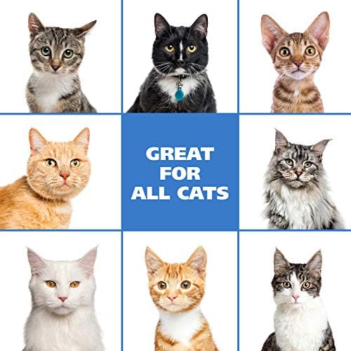Authentic Wahl USA waterless cat grooming foam imported for Indian pet owners.