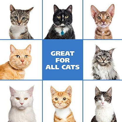 Authentic Wahl USA waterless cat grooming foam imported for Indian pet owners.