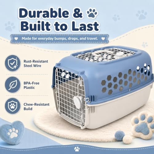 Inside view of a spacious double door hard shell pet transport box