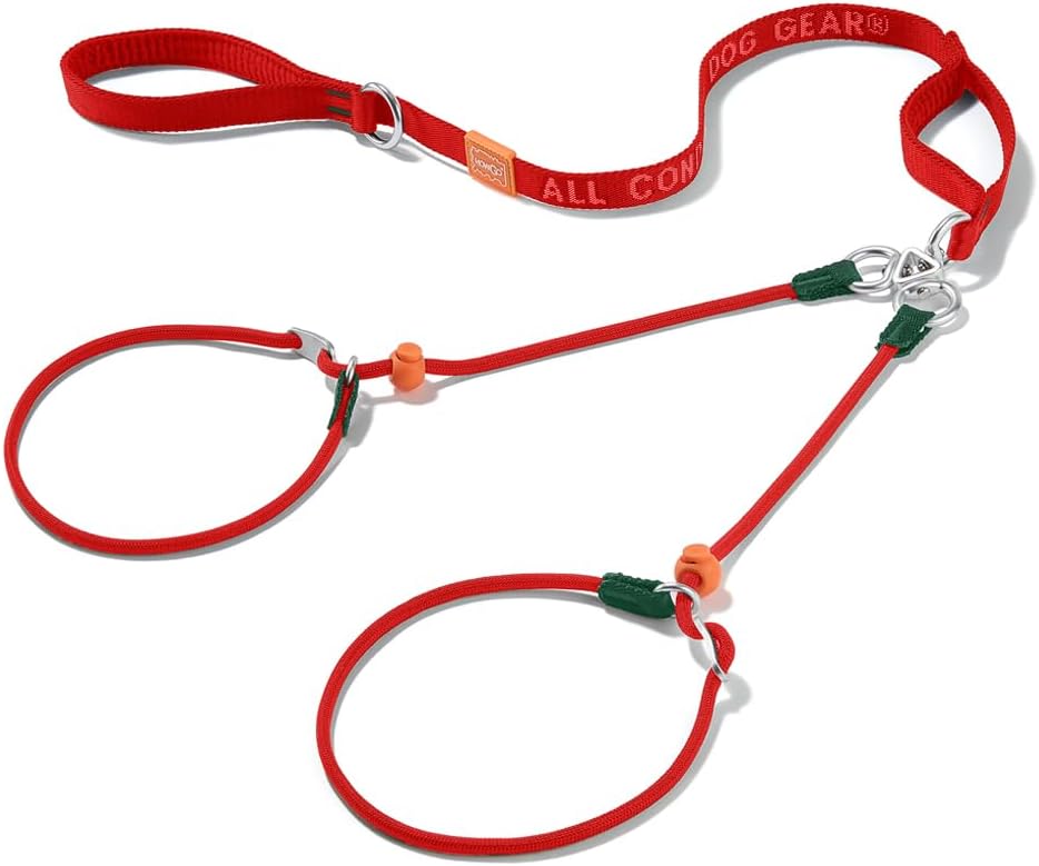 Howgo double slip dog collar and training lead combination