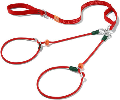 Howgo double slip dog collar and training lead combination