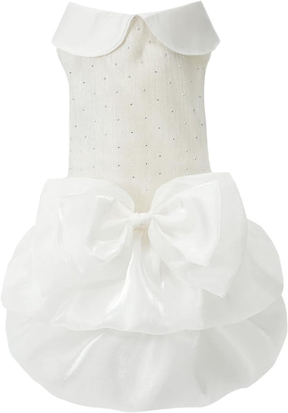 Side view of dog wearing princess tutu dress