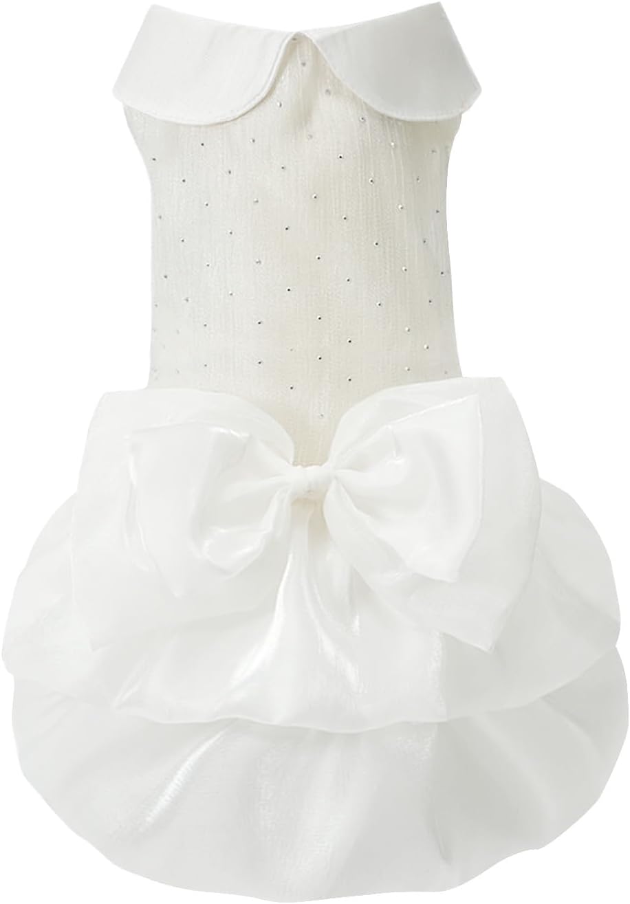 USA imported MAMORE luxury pet outfit package and sizing details