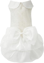 USA imported MAMORE luxury pet outfit package and sizing details