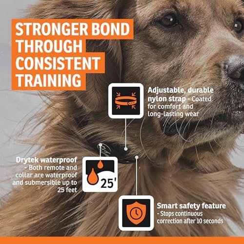 SportDOG YardTrainer 300 system in black