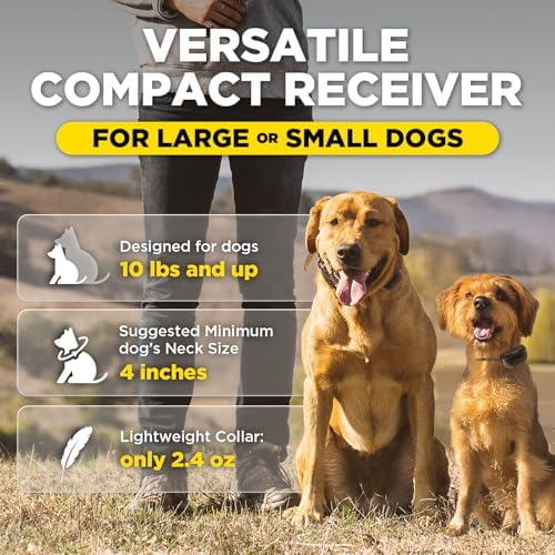 Dogtra 200iQ off-leash training collar set highlighting the half-mile range communication capability