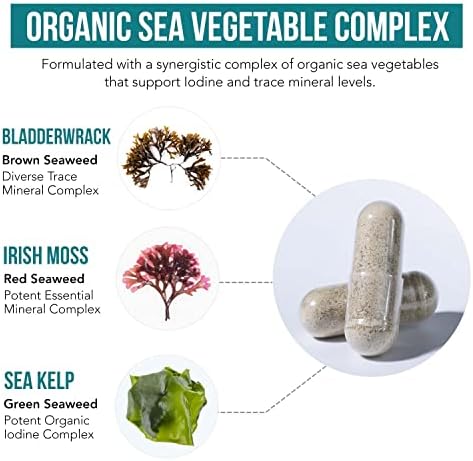 Organic Icelandic sea kelp ingredient profile