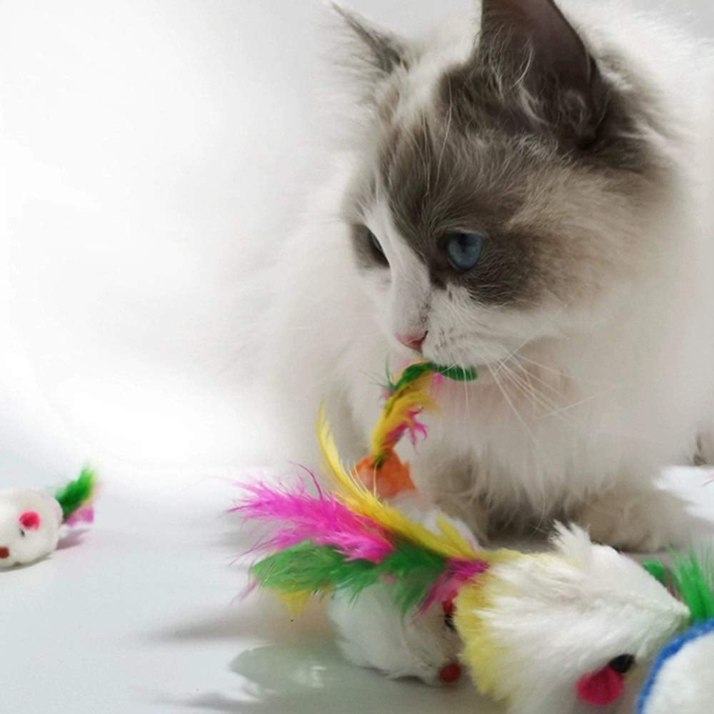 Display of the built-in rattle mechanism perspective for indoor cat interactive play.