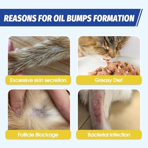 Waterless cat shampoo foam being applied to a long-haired cat tail for stud tail care