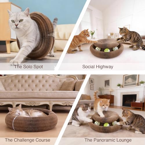 Two individual Kitty Kurlz organ toys attached together via magnets to build a large extended tunnel system.