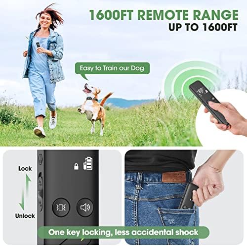 Close up of Delupet collar security lock button