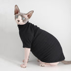 Back view of Sphynx cat in black cat jumpsuit