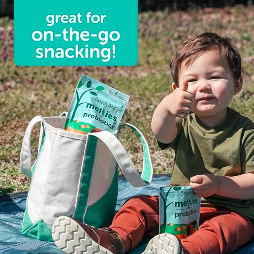 Authentic Beech-Nut baby food snacks collection showing simple ingredients