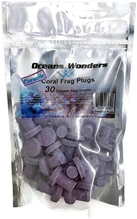 Oceans Wonders ceramic coral frag plugs textured crown detail