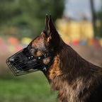 Budkas large size dog muzzle for biting prevention