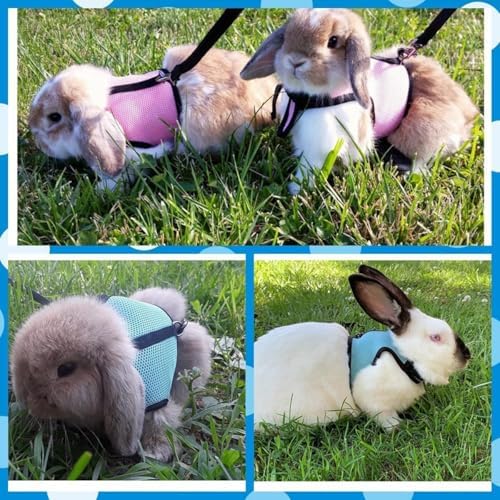 Teleyi guinea pig and bunny walking harness set with safety buckle close up