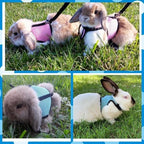 Teleyi guinea pig and bunny walking harness set with safety buckle close up