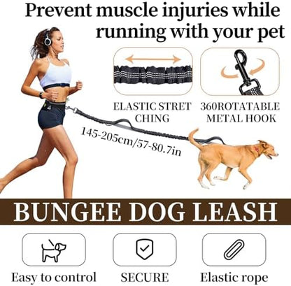 High visibility reflective stitching on a black hands free pet leash.