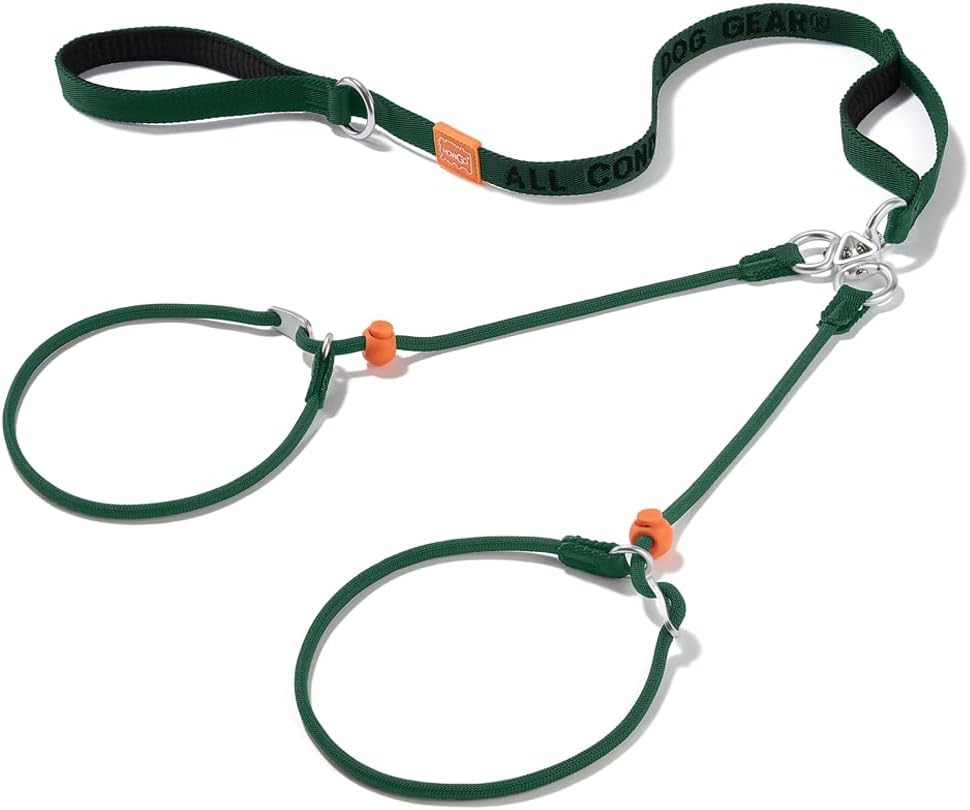 Howgo two dog walking leash with aviation grade aluminum clip