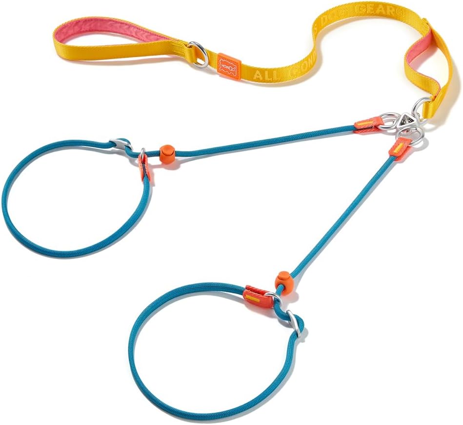 Howgo double slip leash front view tangle free dual dog lead