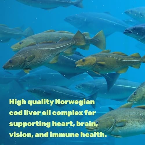 Deal Supplement Cod Liver Oil softgels displayed in a scoop