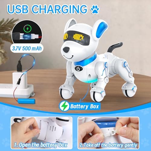 Child playing with Dwi Dowellin interactive robot dog
