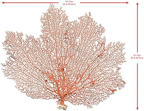 Decorative red sea fan coral branch styled as a coastal desk ornament