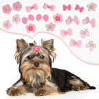 Gvhntk dog hair bows for poodles and maltese