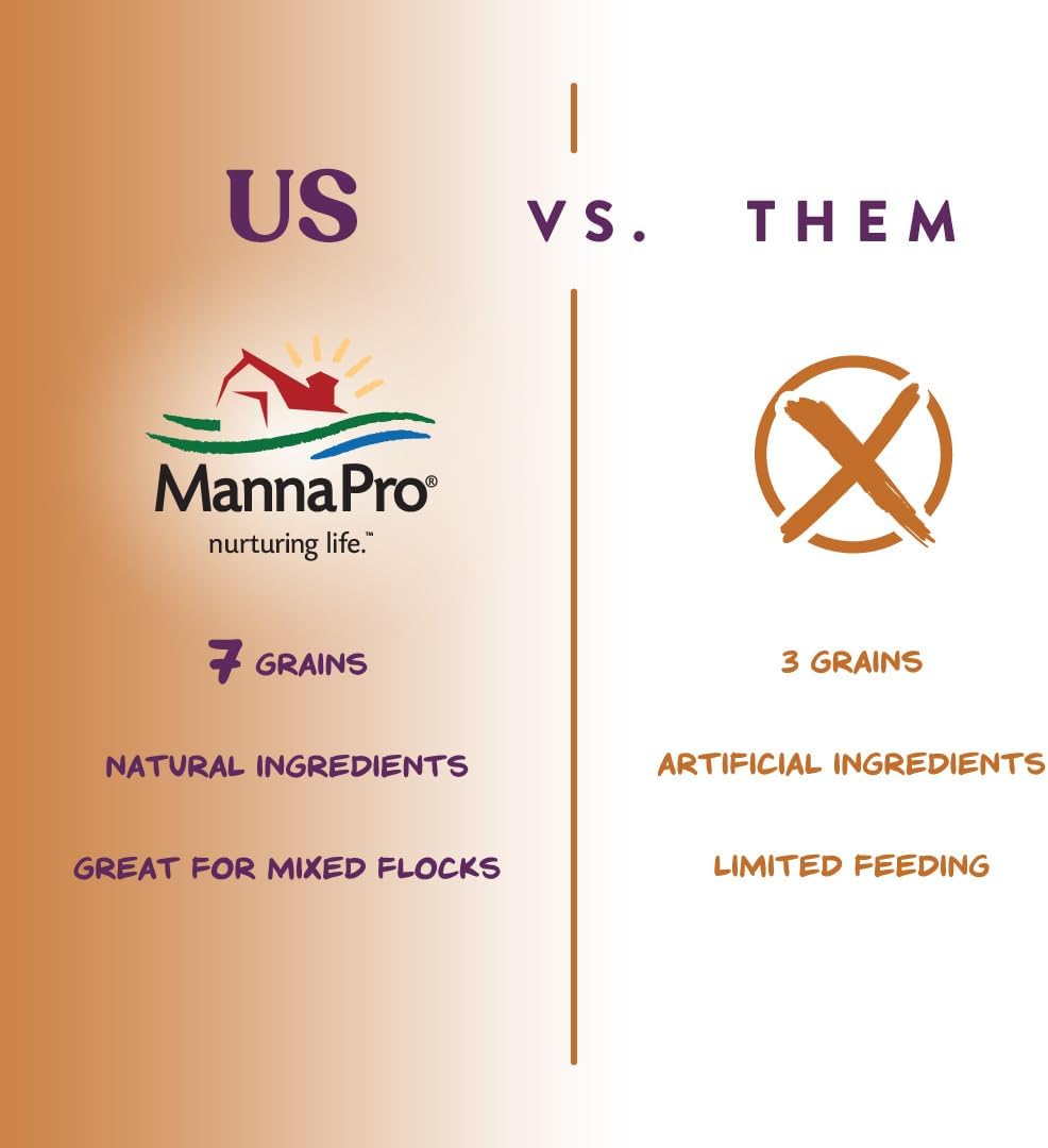 Chickens foraging in backyard with Manna Pro scratch feed