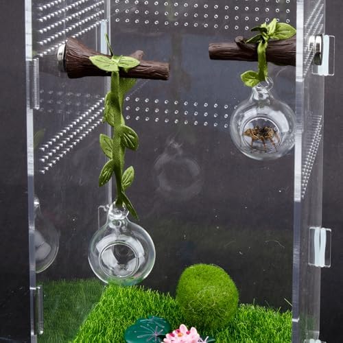 4 Pcs Jumping Spider Accessories Glass Ball Habitat Cloud Platform Ledges Jumping Spider Hide for Decorating Jumping Spider Enclosure Climbing & Exploration - Image 8