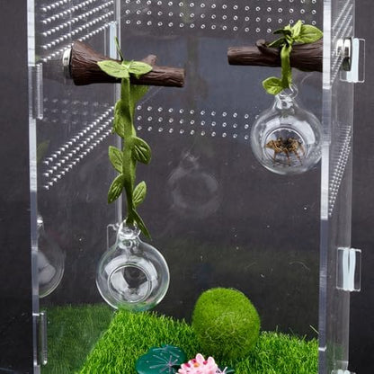 4 Pcs Jumping Spider Accessories Glass Ball Habitat Cloud Platform Ledges Jumping Spider Hide for Decorating Jumping Spider Enclosure Climbing & Exploration - Image 8