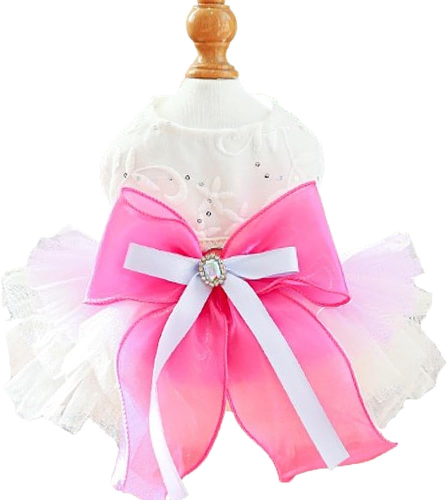 ANIAC Embroidered Dog Dress for Small Dog,Girl Puppy Princess Tutu Dress with Leash Ring,Cat Apparel,Chihuahua Yorkie Clothes for Birthday Wedding (Small, Champagne) - Image 15