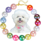 Kepudengen pet fashion necklace front view showcasing vibrant candy colored beads on a small white dog
