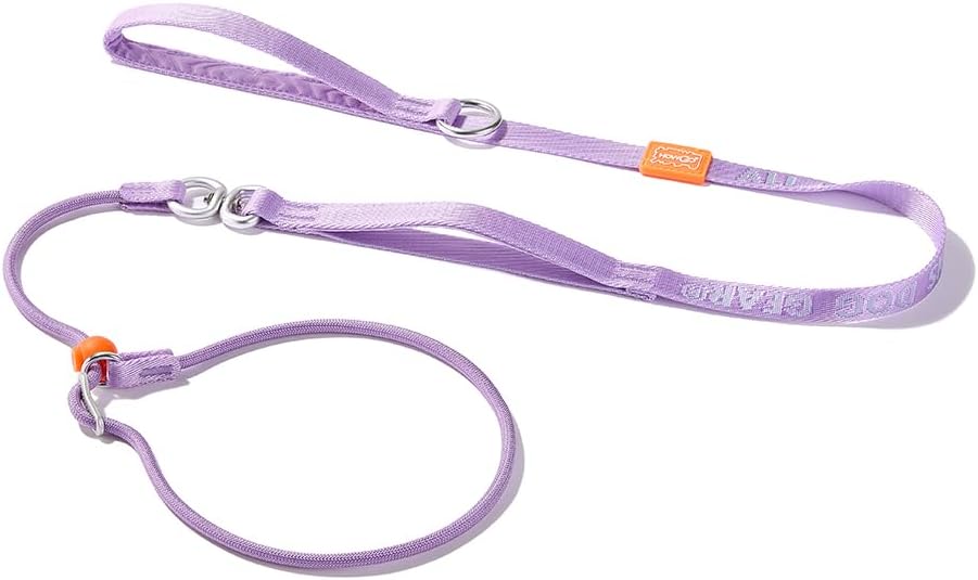 HowGo Slip Lead Dog Leash with Padded Handles | Lightweight Dog Training Leash with 360 degreesSwivel Anti-Tangle | Heavy-Duty Lead and Collar for Large Medium and Small, No-Pull Walking (Black, 5.5FT) - Image 12