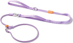 HowGo Slip Lead Dog Leash with Padded Handles | Lightweight Dog Training Leash with 360 degreesSwivel Anti-Tangle | Heavy-Duty Lead and Collar for Large Medium and Small, No-Pull Walking (Black, 5.5FT) - Image 12
