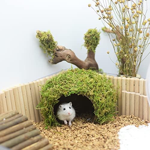 Hamster Hideout - Large, Natural Moss, Handcrafted for Syrian Hamsters, Rats & Guinea Pigs, Safe & Eco-Friendly - Image 6