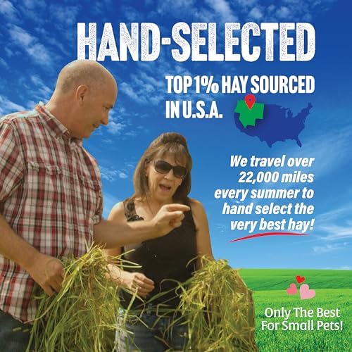 Small Pet Select Orchard Grass Hay loose texture and green color
