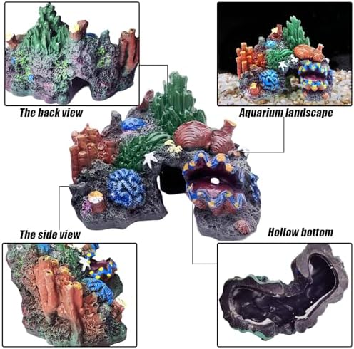 Top-down perspective of the coral mountain cave structure