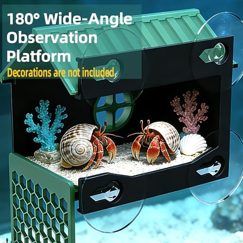 Multi-Functional Hermit Crab Hideaway | Hermit Crab Foraging cave with Ladder | Hermit Crab Climbing wall Toy | Hideout Decoration Accessories Also Suitable for Lizards and Tarantulas - Image 4