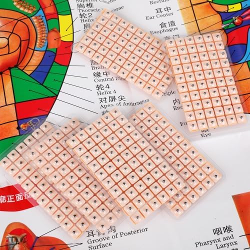 Honoson ear seed kit components including 1200 beads and placement tools