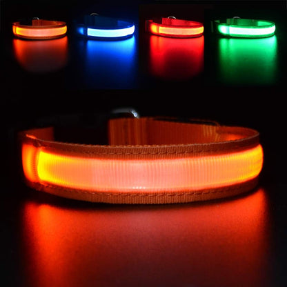 MASBRILL Light Up DogCollars-Rechargeable LED Dog Collar-Waterproof Night Walking Glowing Dog Collar for Small Medium Large Dogs - Image 13